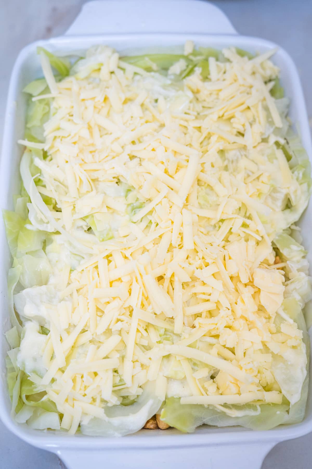 A casserole dish filled with cabbage and cheese.