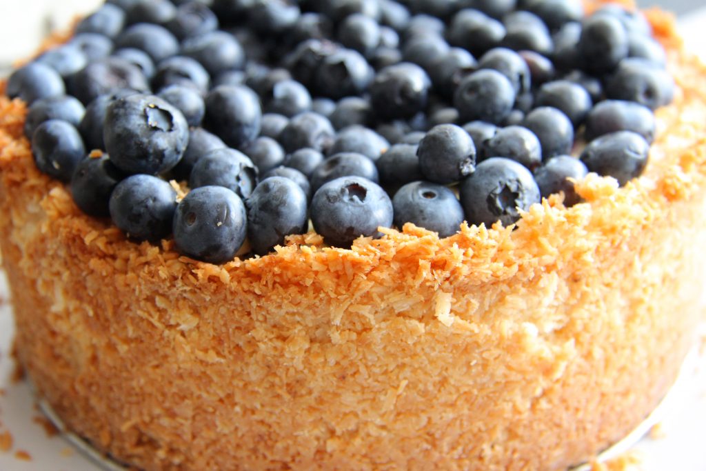 coconut blueberry cheesecake