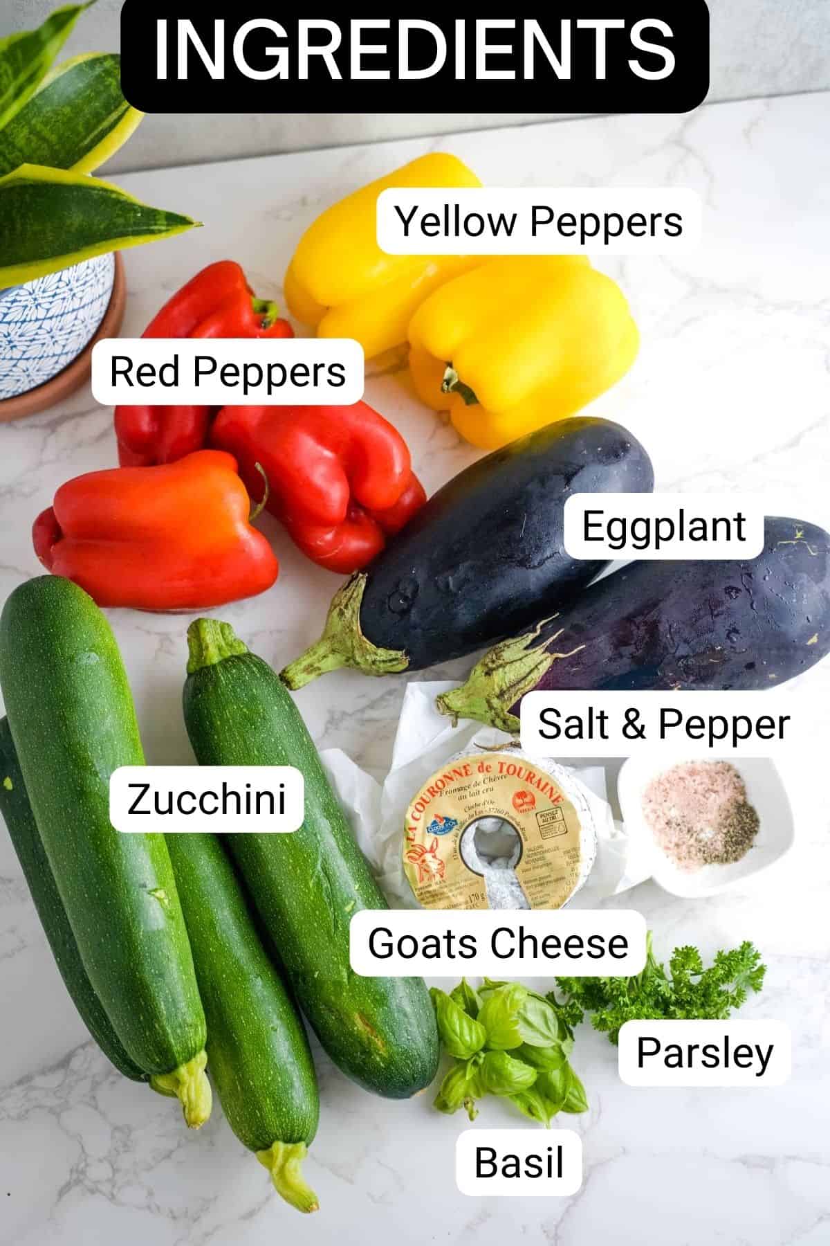 vegetable terrine ingredients