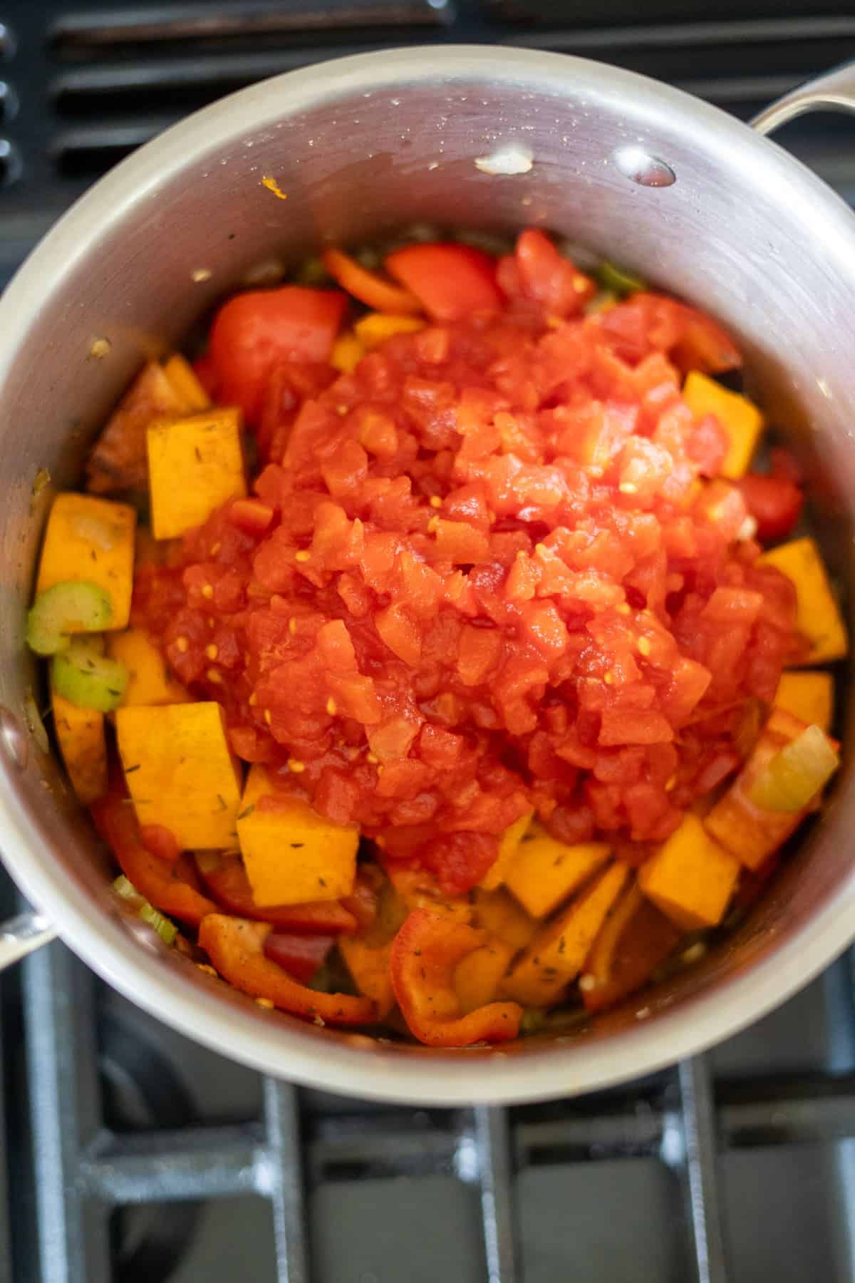 A stainless steel pot on a stove contains chopped tomatoes, squash, bell peppers, celery, and a hint of Caribbean spiced pumpkin, appearing to be the beginning ingredients of a flavorful stew or soup.