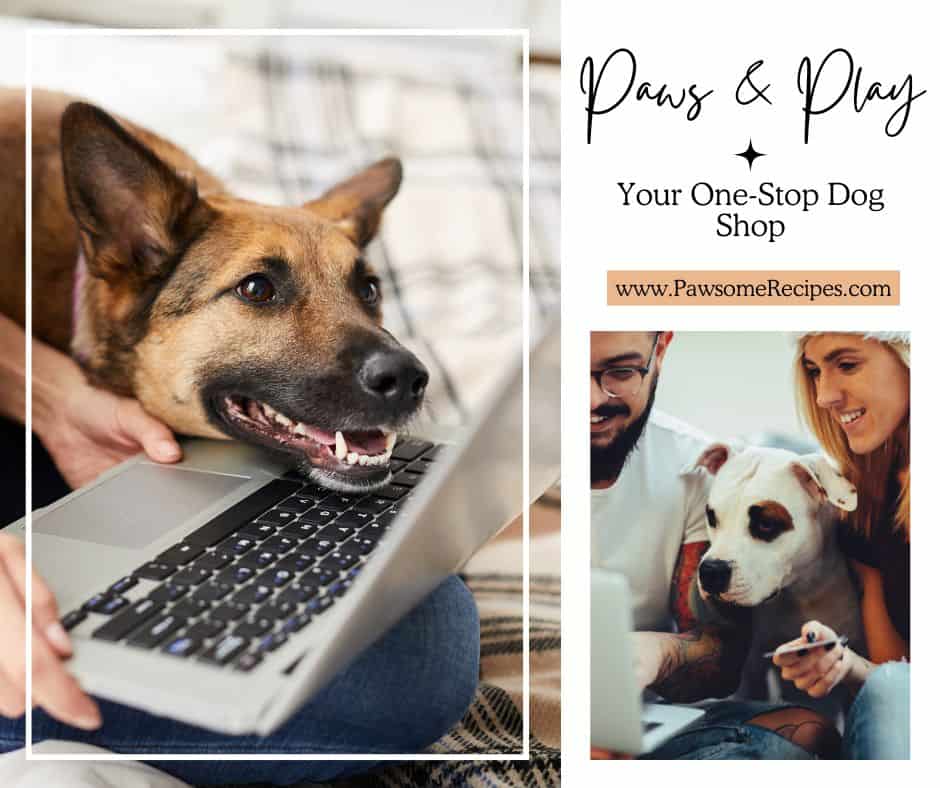 A dog rests its paws on the laptop keyboard, browsing a promotional banner for "Paws & Play" alongside "Pawsome Recipes," featuring a couple, their dog, and a tempting keto turkey pot pie.