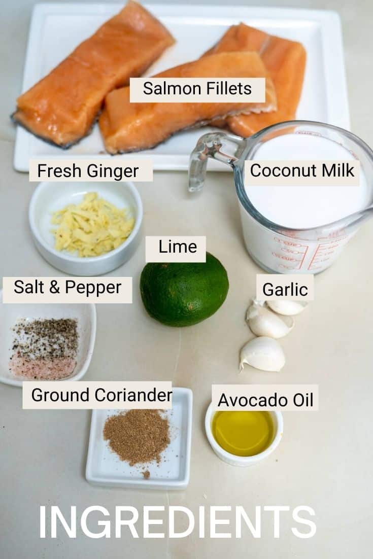 salmon ingredients