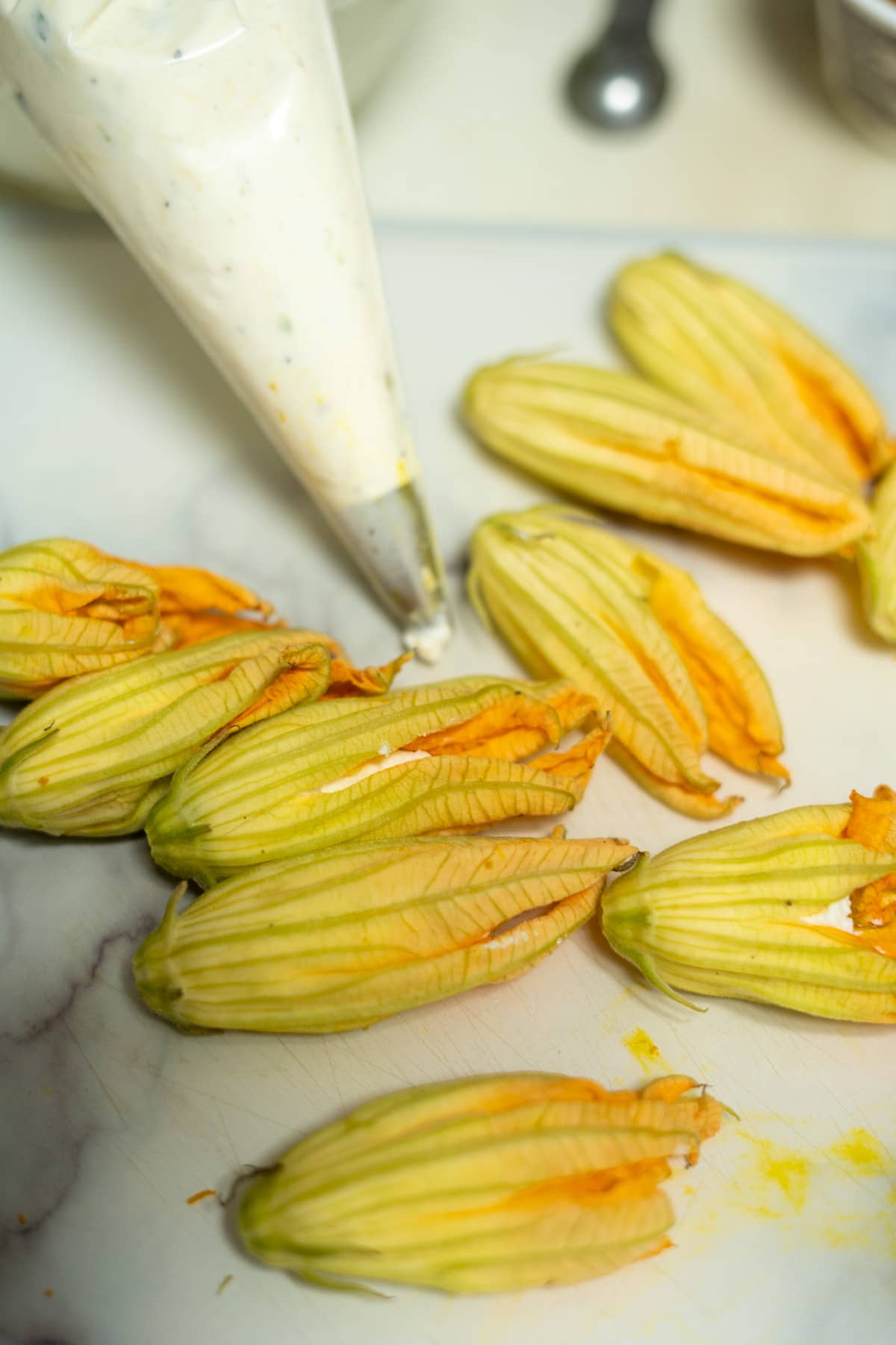 zucchini flowers with piped filling.