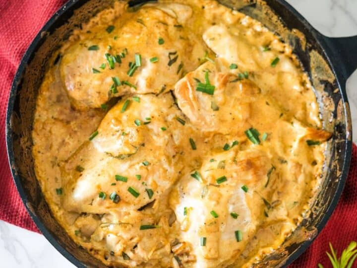 A cast iron skillet with chicken in a cream sauce.