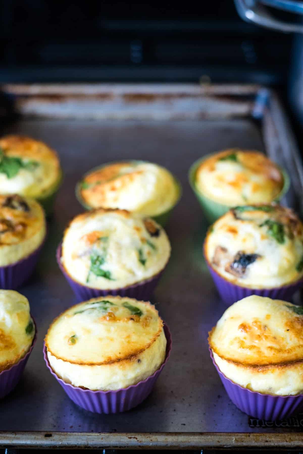 Muffins in colorful silicone cups on a baking tray. The cottage cheese egg muffins appear freshly baked with golden brown tops and various fillings.