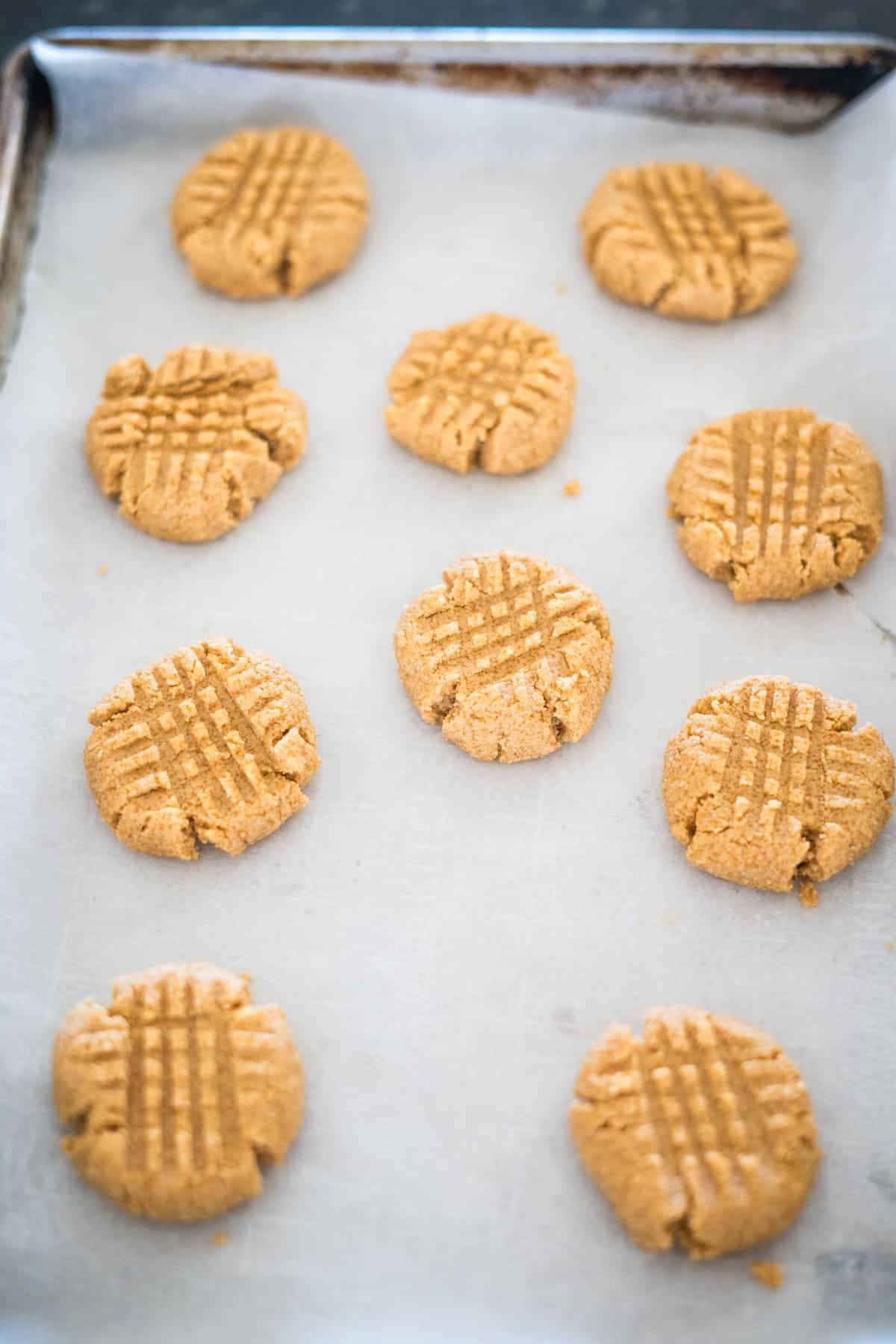 A baking sheet with ten round peanut butter cookies, each marked with a crisscross pattern, arranged on parchment paper.