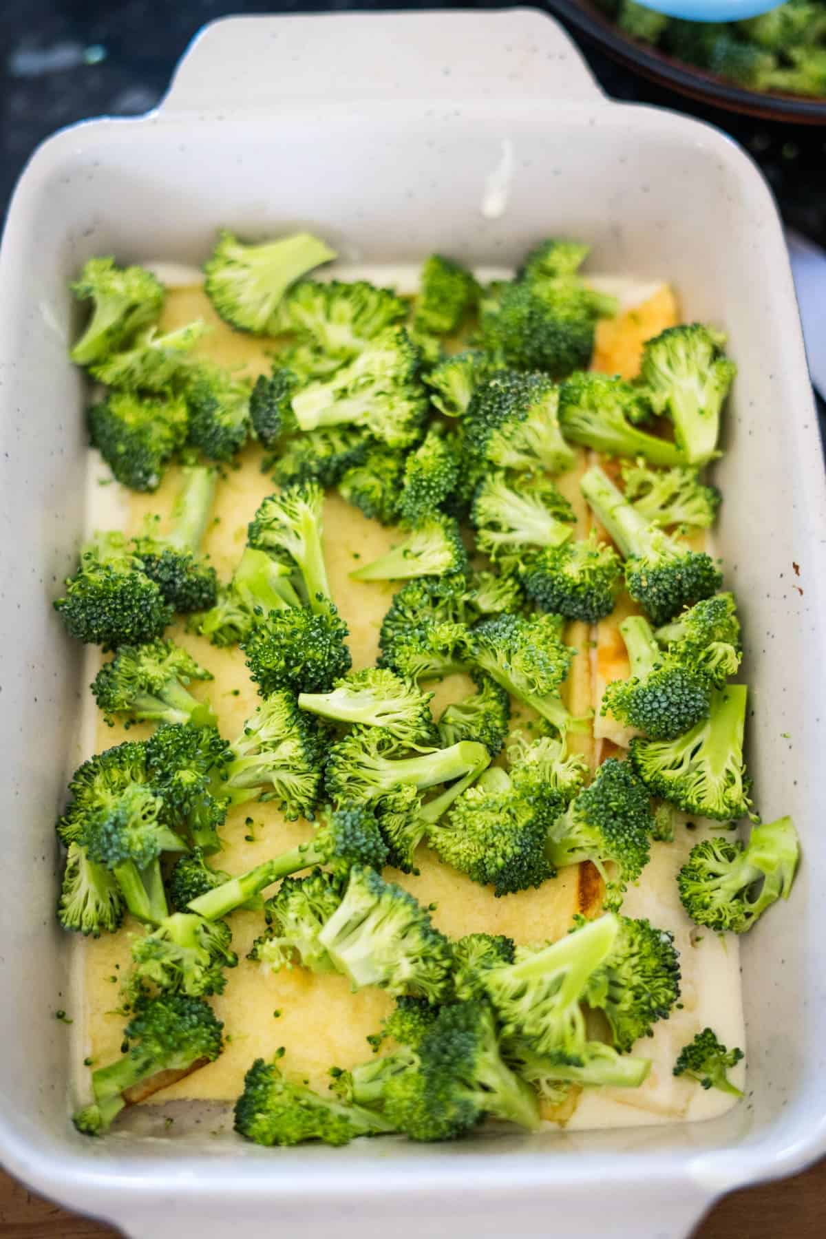 A baking dish filled with broccoli florets on top of layered slices of a yellow food, possibly cheese or polenta.