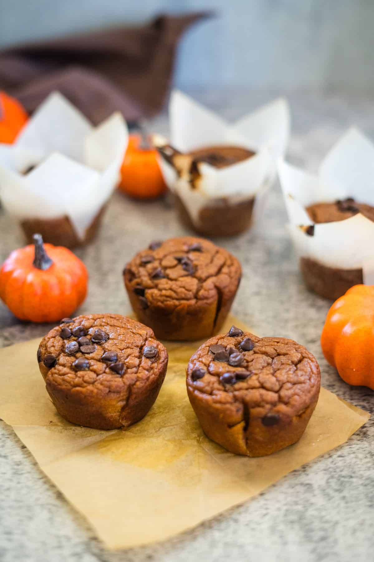 Several flourless pumpkin chocolate chip muffins are displayed on a parchment paper and countertop, with small decorative pumpkins placed around them. Some muffins are wrapped in parchment paper.