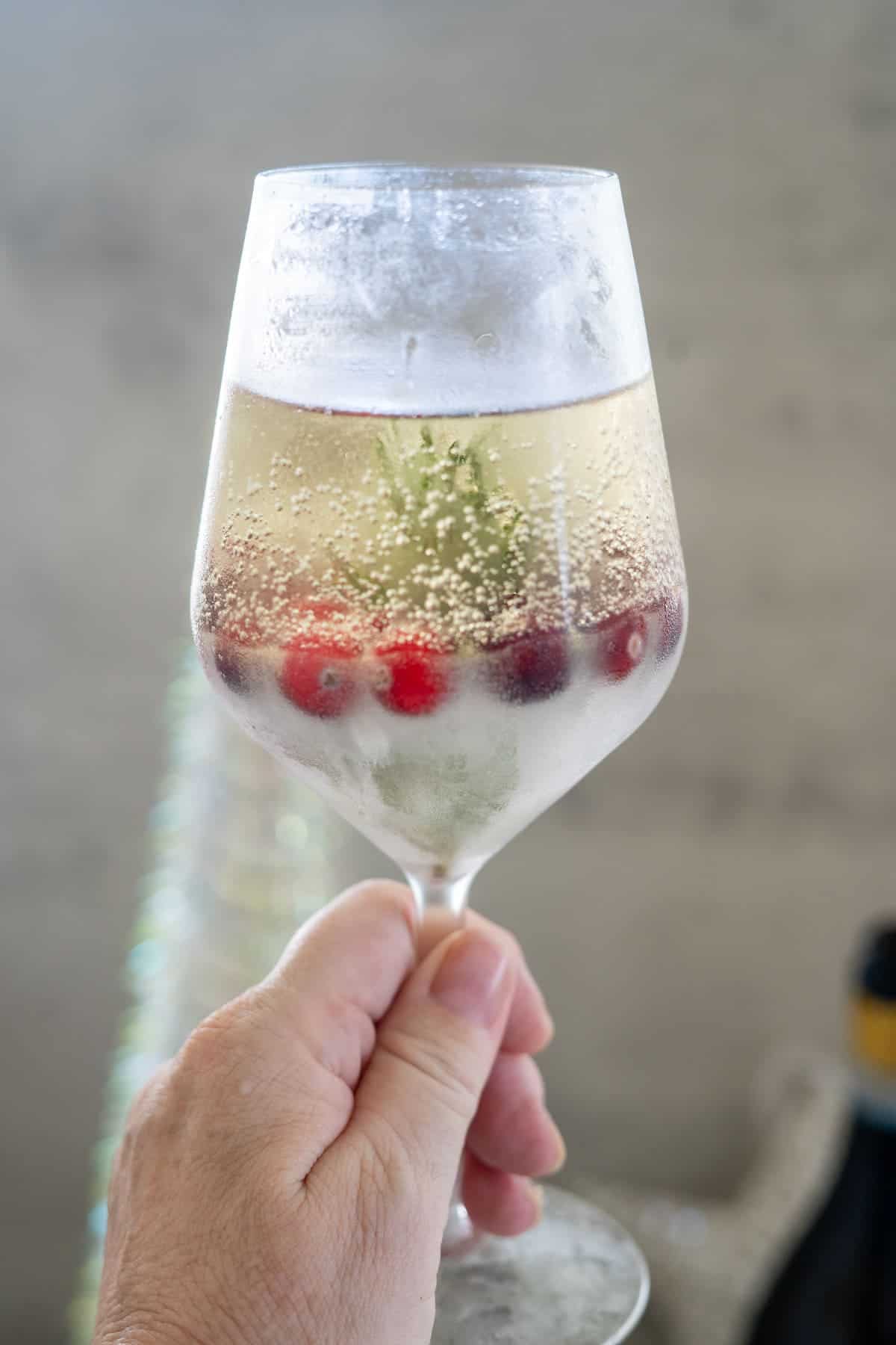 A hand holds a frosted glass of champagne, resembling a delicate snow globe cocktail, with red berries and a sprig of green inside.